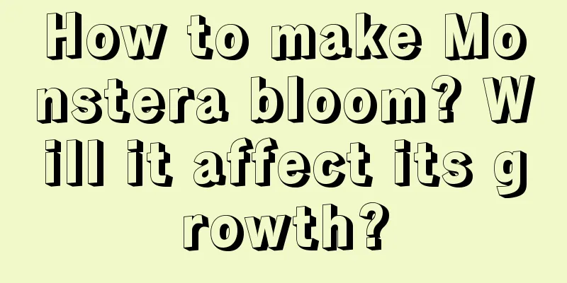 How to make Monstera bloom? Will it affect its growth?