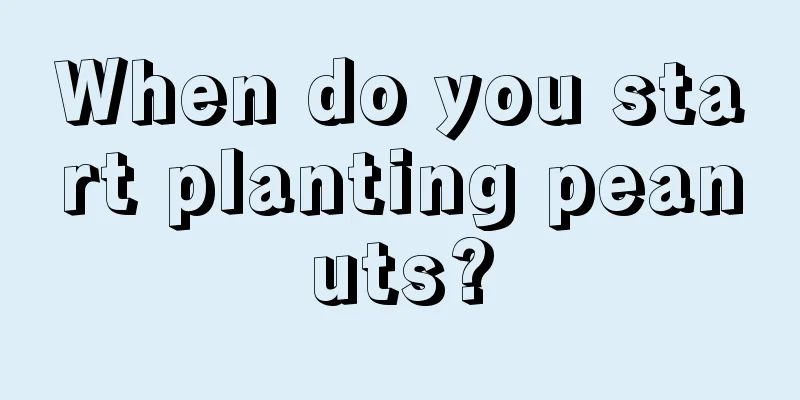 When do you start planting peanuts?