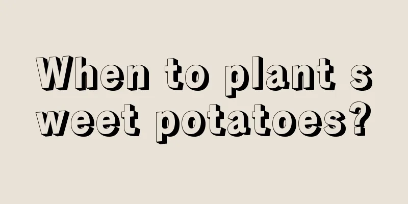 When to plant sweet potatoes?