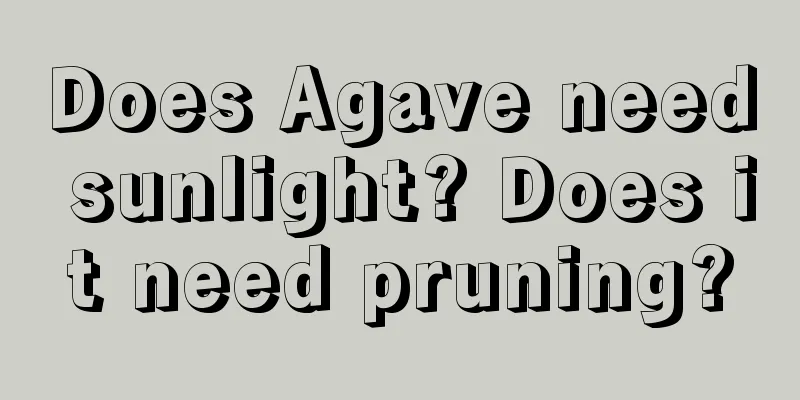 Does Agave need sunlight? Does it need pruning?