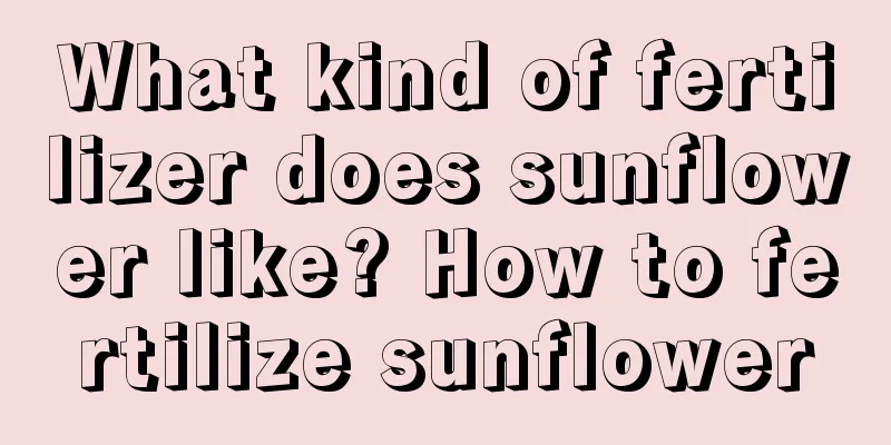 What kind of fertilizer does sunflower like? How to fertilize sunflower