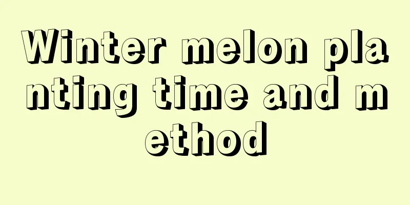 Winter melon planting time and method