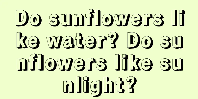 Do sunflowers like water? Do sunflowers like sunlight?