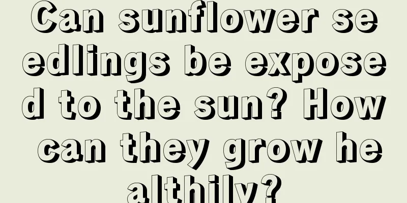 Can sunflower seedlings be exposed to the sun? How can they grow healthily?