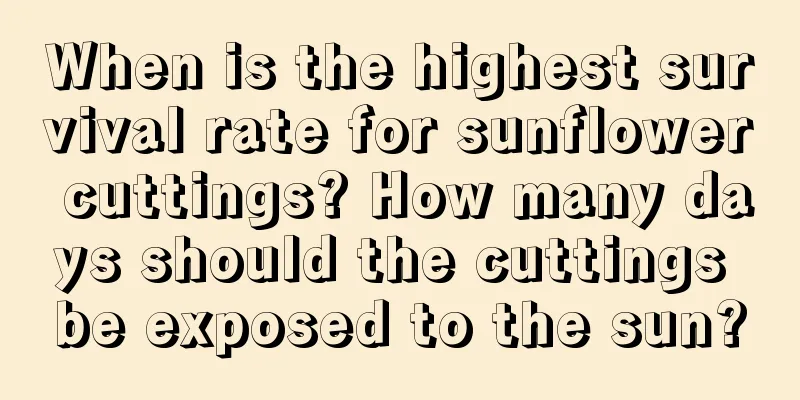 When is the highest survival rate for sunflower cuttings? How many days should the cuttings be exposed to the sun?