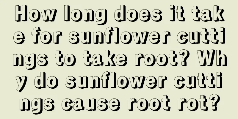 How long does it take for sunflower cuttings to take root? Why do sunflower cuttings cause root rot?