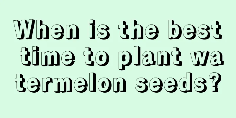 When is the best time to plant watermelon seeds?