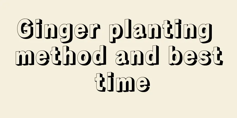 Ginger planting method and best time