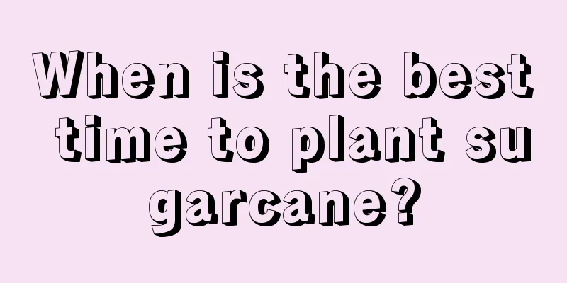 When is the best time to plant sugarcane?