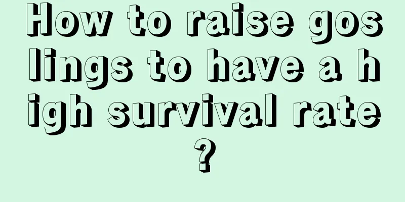 How to raise goslings to have a high survival rate?