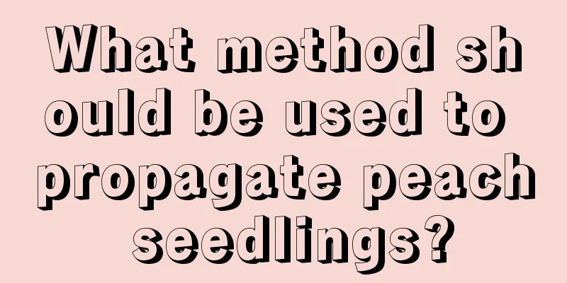 What method should be used to propagate peach seedlings?