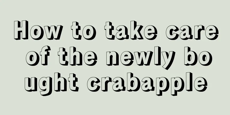 How to take care of the newly bought crabapple