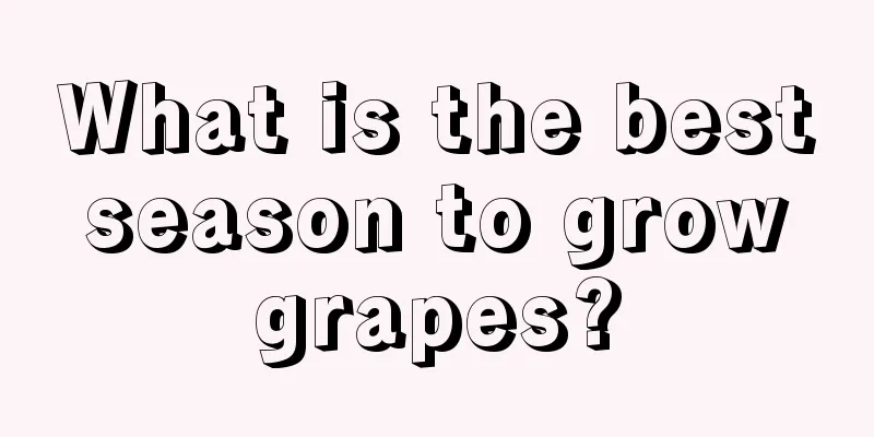 What is the best season to grow grapes?