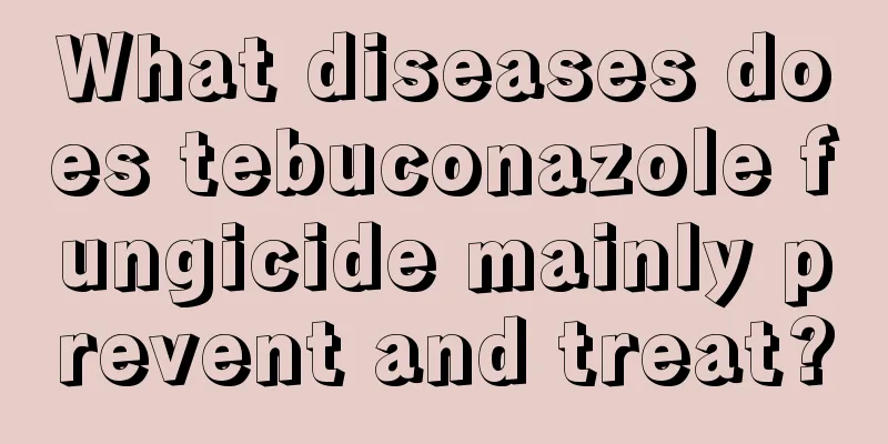 What diseases does tebuconazole fungicide mainly prevent and treat?