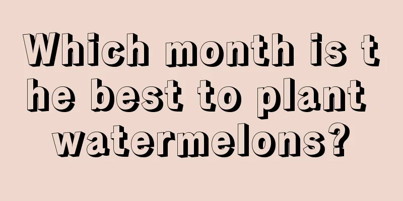 Which month is the best to plant watermelons?