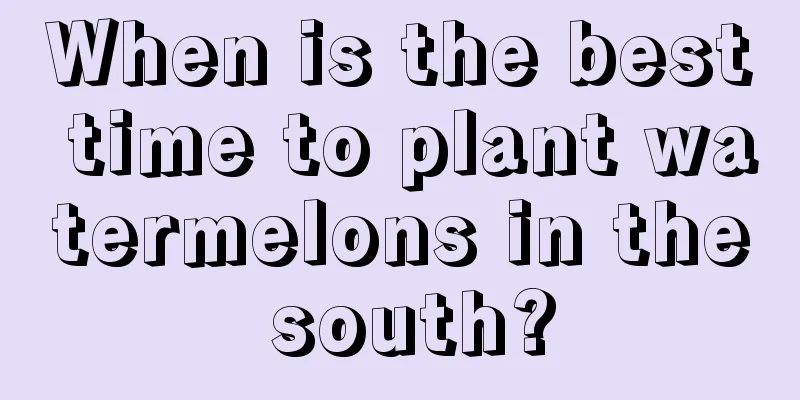 When is the best time to plant watermelons in the south?