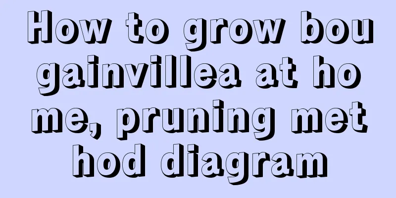 How to grow bougainvillea at home, pruning method diagram