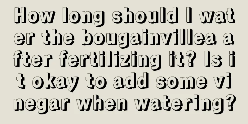 How long should I water the bougainvillea after fertilizing it? Is it okay to add some vinegar when watering?