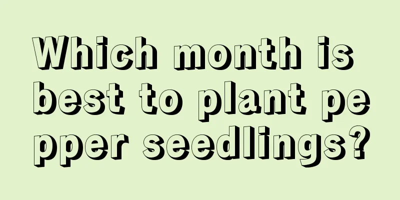 Which month is best to plant pepper seedlings?