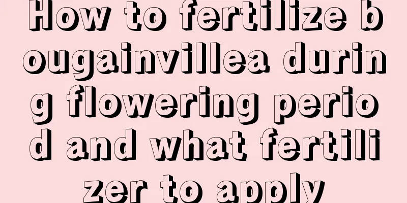 How to fertilize bougainvillea during flowering period and what fertilizer to apply