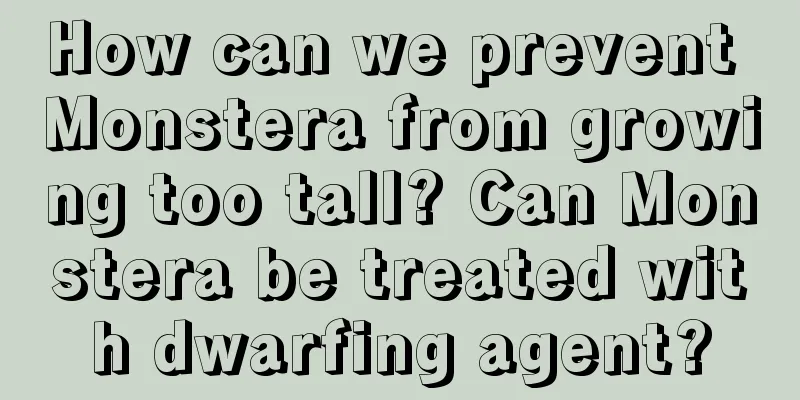 How can we prevent Monstera from growing too tall? Can Monstera be treated with dwarfing agent?