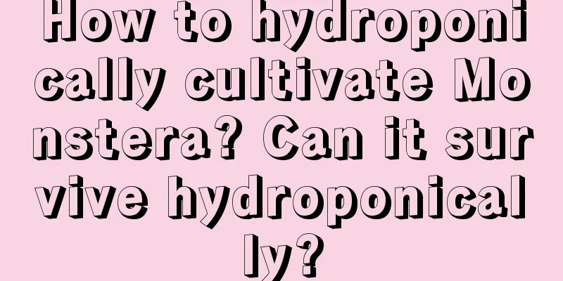 How to hydroponically cultivate Monstera? Can it survive hydroponically?