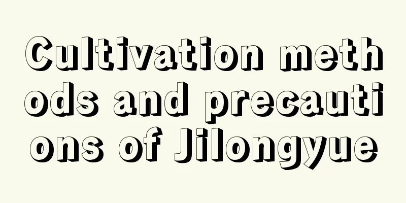 Cultivation methods and precautions of Jilongyue