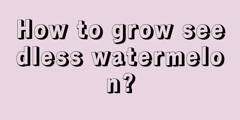 How to grow seedless watermelon?