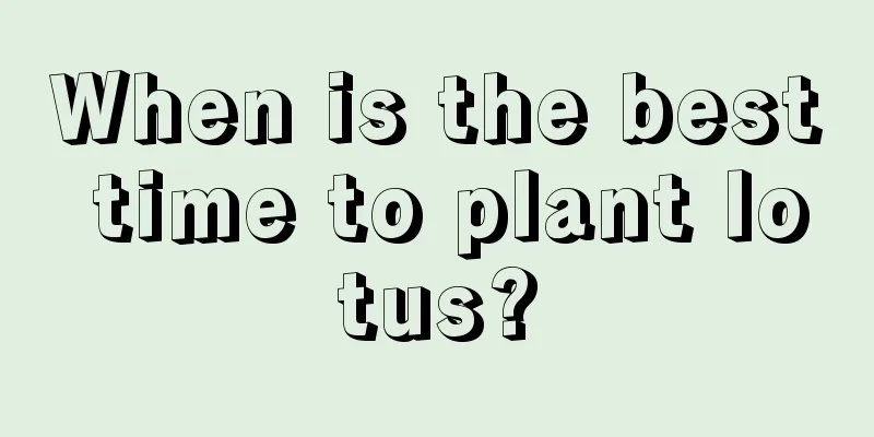 When is the best time to plant lotus?