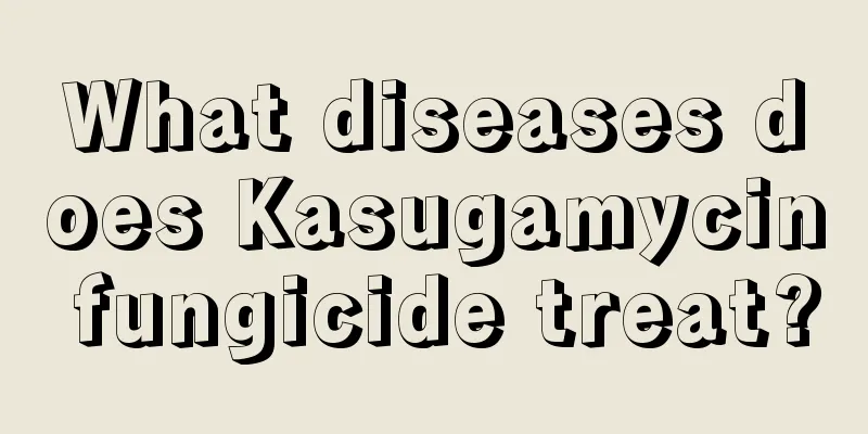 What diseases does Kasugamycin fungicide treat?