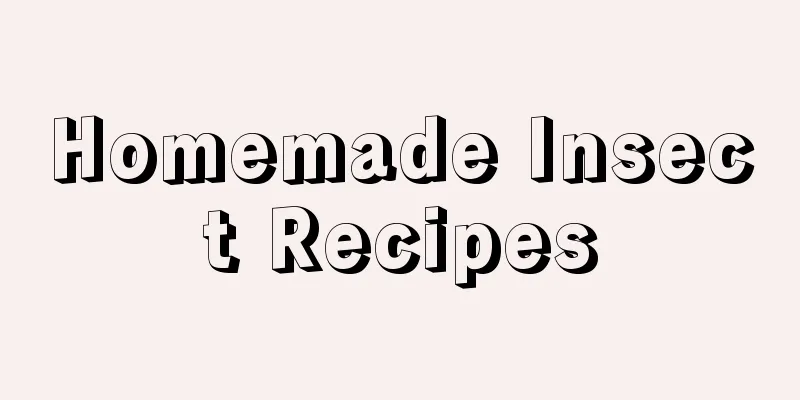 Homemade Insect Recipes