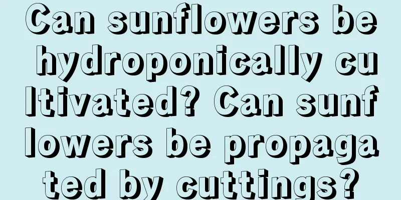 Can sunflowers be hydroponically cultivated? Can sunflowers be propagated by cuttings?