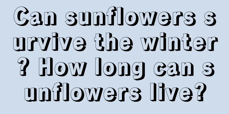 Can sunflowers survive the winter? How long can sunflowers live?