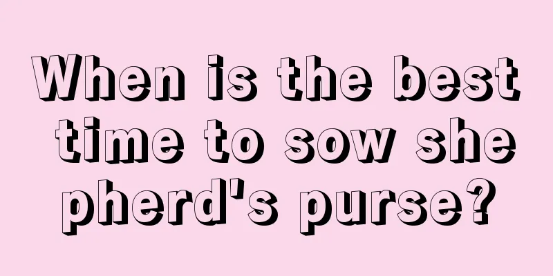 When is the best time to sow shepherd's purse?