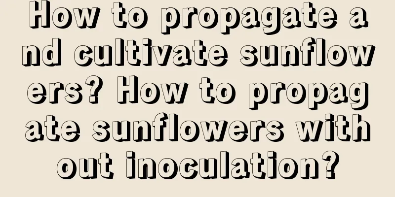 How to propagate and cultivate sunflowers? How to propagate sunflowers without inoculation?