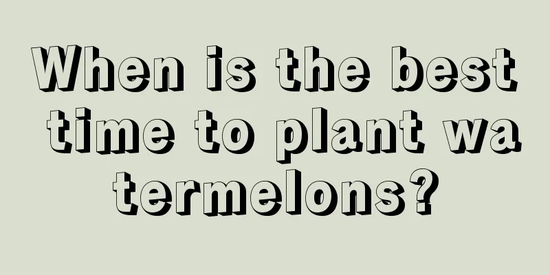 When is the best time to plant watermelons?