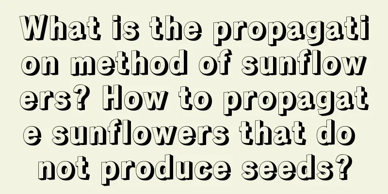 What is the propagation method of sunflowers? How to propagate sunflowers that do not produce seeds?