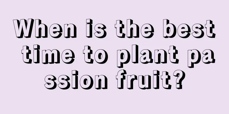 When is the best time to plant passion fruit?