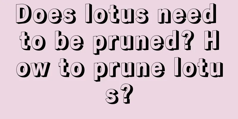 Does lotus need to be pruned? How to prune lotus?