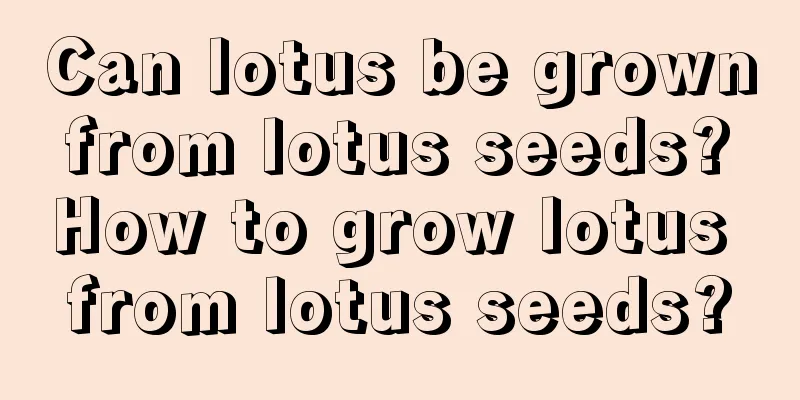 Can lotus be grown from lotus seeds? How to grow lotus from lotus seeds?