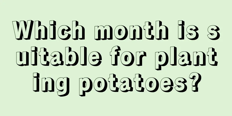 Which month is suitable for planting potatoes?