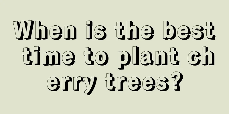 When is the best time to plant cherry trees?