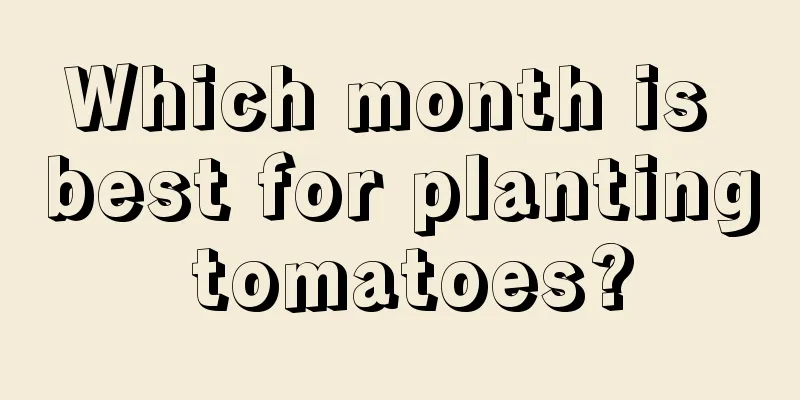 Which month is best for planting tomatoes?