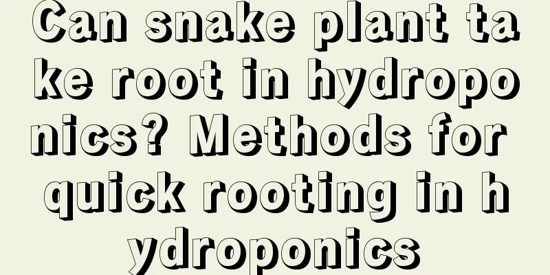 Can snake plant take root in hydroponics? Methods for quick rooting in hydroponics