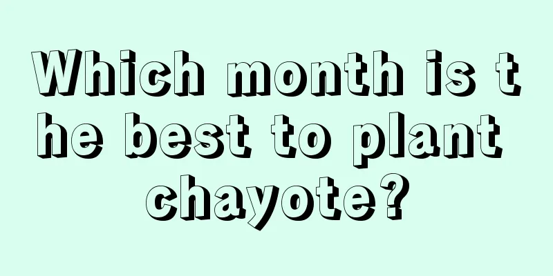 Which month is the best to plant chayote?