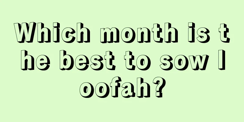 Which month is the best to sow loofah?