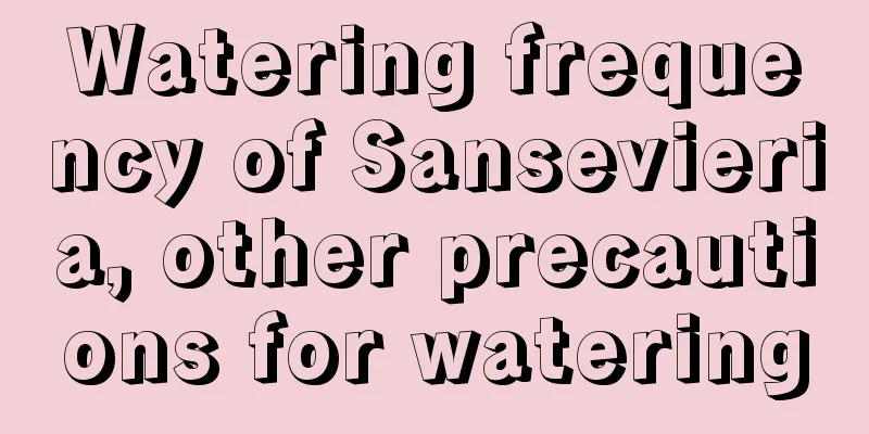 Watering frequency of Sansevieria, other precautions for watering