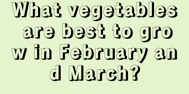 What vegetables are best to grow in February and March?