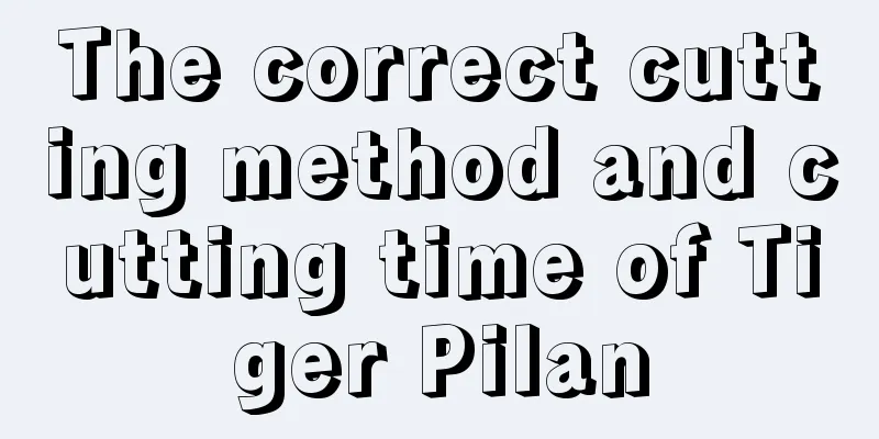 The correct cutting method and cutting time of Tiger Pilan