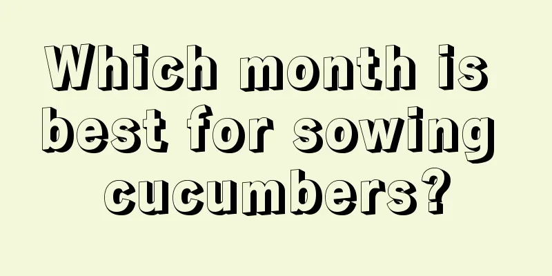 Which month is best for sowing cucumbers?